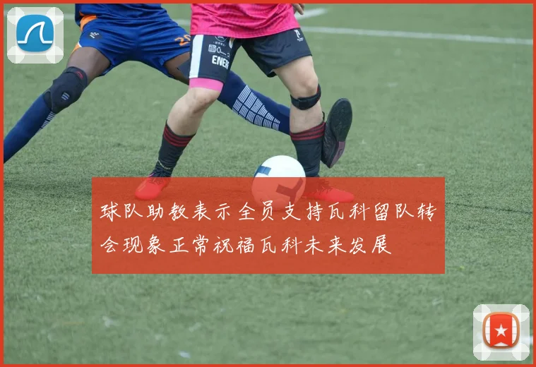 球队助教表示全员支持瓦科留队转会现象正常祝福瓦科未来发展